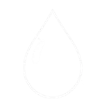 No Oil